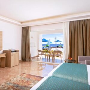 Pickalbatros Palace Rooms : Double