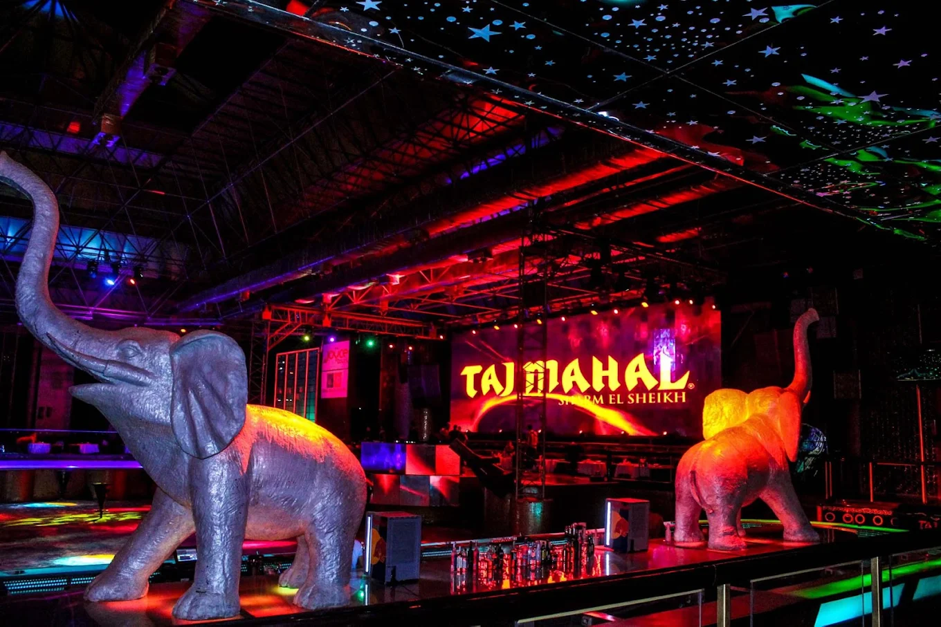 Disco Parties Standard - Taj Mahal