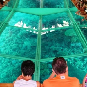 Glass Bottom Boat Trip in Dahab