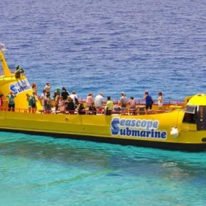 Seascope Submarine Tour from Dahab
